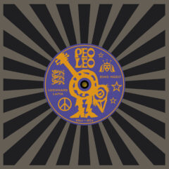 Eino Mäelt, Leonhard Lapin. Peoleo 1964-1974